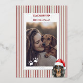 Teckel door de Waterverf van de sneeuw Folie Feestdagenkaart (Voorkant)