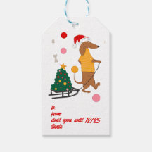 Teckel Doxie Winnie Hond Puppy Bright Kerstmis