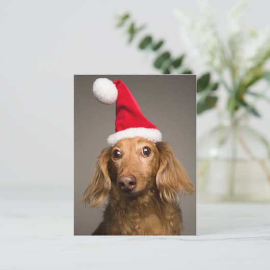 Teckel draagt kerstmuts feestdagenkaart (Staand voorkant)