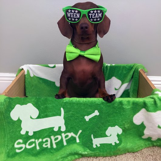 Teckel Fleece Deken Groen Gepersonaliseerd