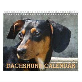 Teckel fotokalender kalender