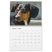 Teckel fotokalender kalender (Feb 2027)