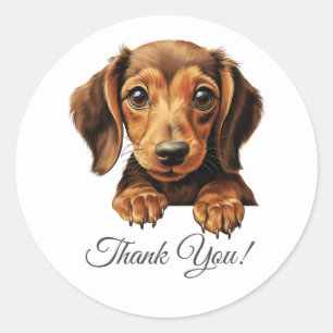 teckel hond dank u ronde sticker