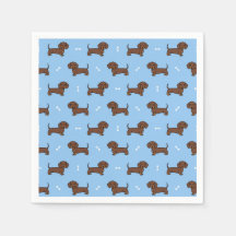 Teckel Hond Huisdier Verjaardagsfeest