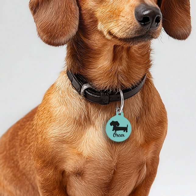 Teckel Hond ID Label Gepersonaliseerd Dubbelzijdig Huisdierpenning (dachshund mom gift - dog tag personalized for new wiener dogs)