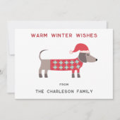 Teckel Hond in een Santa Hat Fun Feestdagenkaart (Voorkant)