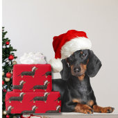 Teckel Hond Kerst Rode Kerstman Hoed Cadeaupapier