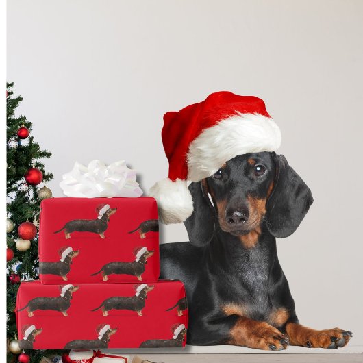 Teckel Hond Kerst Rode Kerstman Hoed Cadeaupapier