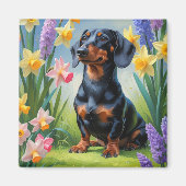 Teckel Hond Spring Bloemen Schilderen Magneet (Voorkant)