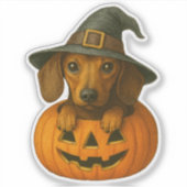 Teckel in pompoen sticker (Voorkant)