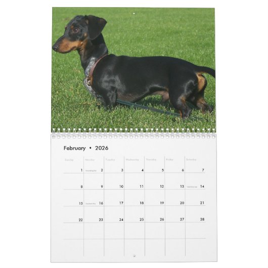Teckel kalender met uw foto's (Feb 2026)