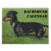 Teckel kalender met uw foto's (Hoes)
