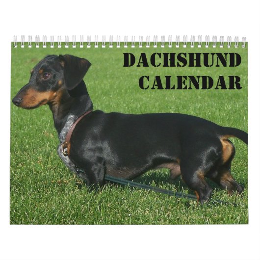 Teckel kalender met uw foto's (Hoes)