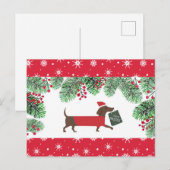 Teckel Kerst Schattigee Hond Sneeuwvlokken Holly Briefkaart (Voorkant / Achterkant)