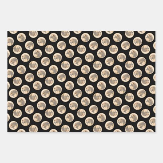 Teckel langharige rode schilderij Originele hond k Inpakpapier Vel (Voorkant 3)