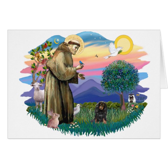 Teckel (langharige zwarttan) (Voorkant Horizontaal)