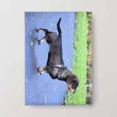 teckel met volledig draadhaar button (Voorkant)