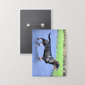 teckel met volledig draadhaar button (Voorkant / Achterkant)