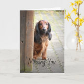 Teckel mist je Wenskaart Kaart (Gele Bloem)