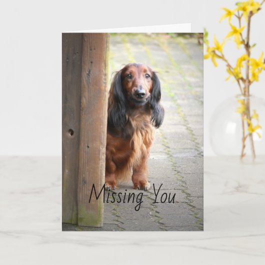 Teckel mist je Wenskaart Kaart (Gele Bloem)