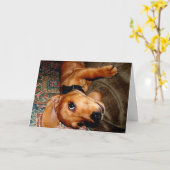 Teckel Pet Puppy Kaart (Gele Bloem)