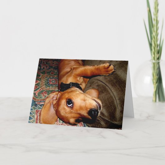 Teckel Pet Puppy Kaart (Voorkant)
