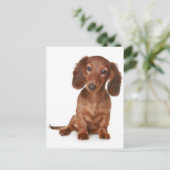 Teckel Puppy Dog Blank Briefkaart (Staand voorkant)