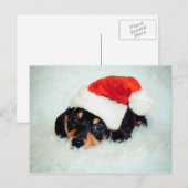 Teckel Puppy Kerstmis Feestdagenkaart (Voorkant / Achterkant)