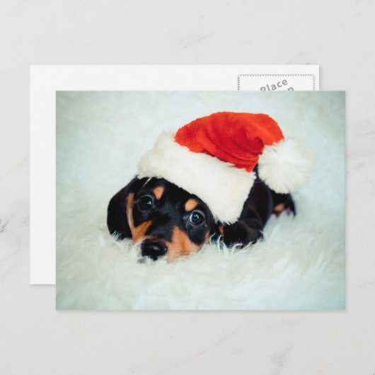 Teckel Puppy Kerstmis Feestdagenkaart (Voorkant / Achterkant)