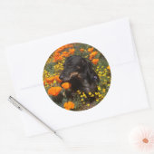 Teckel Puppy met wilde bloemen Ronde Sticker (Envelop)