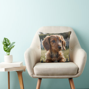 Teckel puppy wacht bij het hek kussen