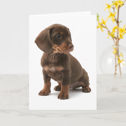 Teckel Puppy Wenskaart Kaart (Gele Bloem)