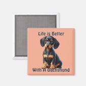 Teckel Puppy Zittend en Kijkend met Onschuldig Magneet (Voorkant / Achterkant)