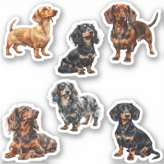 teckel Schattige Hondenliefhebber Sticker (Voorkant)