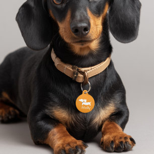 Teckel Sinaasappel Charm Gepersonaliseerde naam Co Huisdierpenning