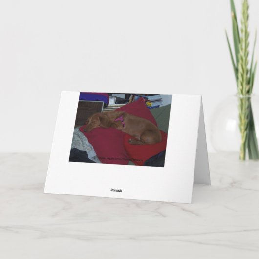 Teckel, snel beter kaart (Achterkant)