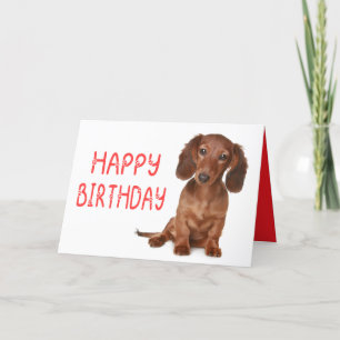 Teckel Verjaardag Grappig Wiener Hond Dashie Bday Kaart