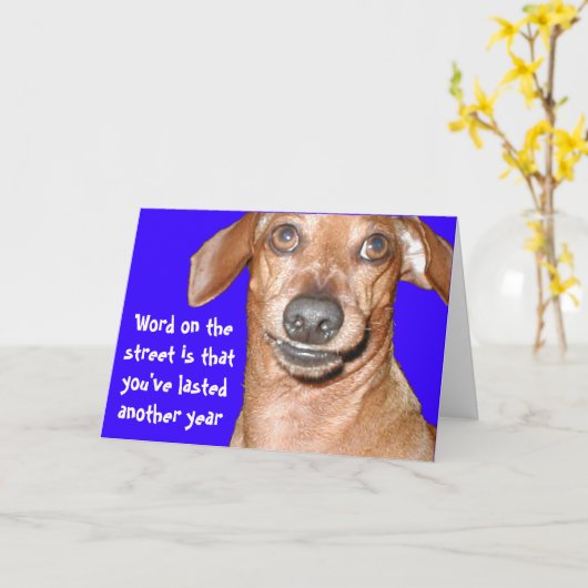 Teckel Verjaardag Kaart (Gele Bloem)