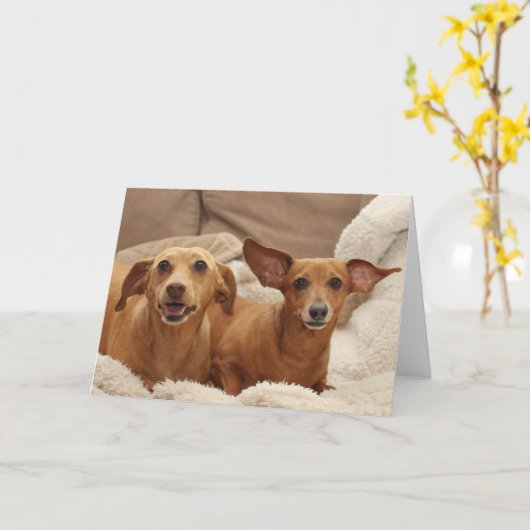 Teckel Verjaardag Kaart door Focus for a Cause (Gele Bloem)