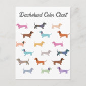 Teckel Worst Hond Kleur Grafiek Grappig Briefkaart (Voorkant)