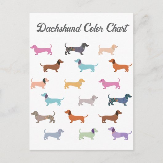 Teckel Worst Hond Kleur Grafiek Grappig Briefkaart (Voorkant)