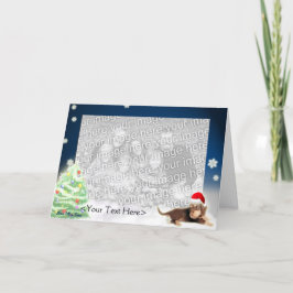 Teckel Xmas-fotokaart () Feestdagen Kaart