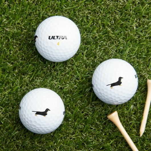 teckel zwart-bruin silhouet golfballen (Insitu Gras)