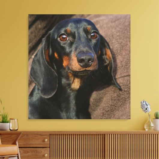 teckel zwart-wit canvas afdruk (Insitu (Woonkamer))