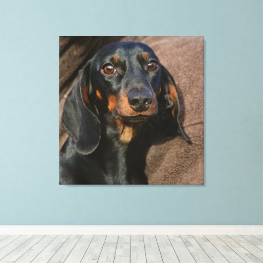 teckel zwart-wit canvas afdruk (Insitu (Houten vloer))