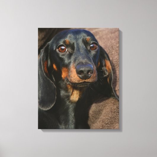 teckel zwart-wit canvas afdruk (Voorkant)