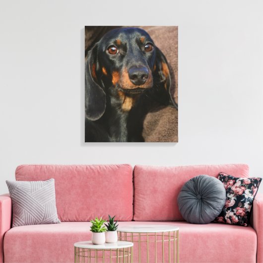 teckel zwart-wit canvas afdruk (Insitu (Woonkamer))