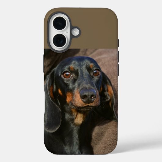 teckel zwart-wit Case-Mate iPhone case (Achterkant)
