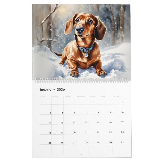 Teckels Elegante Waterverf Sausage Dogs Wall Kalender (Jan 2026)