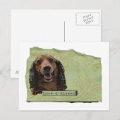 Teckle/Dachshund in de groenen Briefkaart (Voorkant / Achterkant)